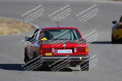 media/Nov-19-2023-Extreme Speed (Sun) [[bd0eec5490]]/Purple/Back Shots/